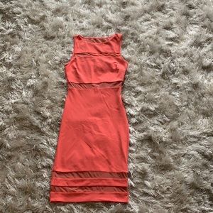 Peachy Mesh Bodycon Dress